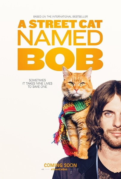 【影評】遇見街貓BOB（A Street Cat Named Bob）｜今年末最療癒暖心的電影 - 2016金馬影展 - 多多看電影-最新、最豐富的影視評論和新聞！