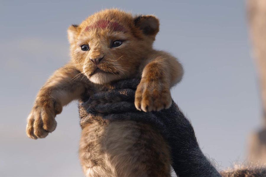 你有發現「真獅版」《獅子王》改變了巫師拉飛奇與辛巴之間的連結嗎？ - 丁滿, 彭彭, 拉飛奇, 狒狒巫師, 獅子王, 真人版, 辛巴, 迪士尼動畫 - 多多看電影-最新、最豐富的影視評論和新聞！